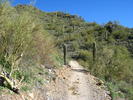 photo thumbnail #2