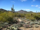 photo thumbnail #9