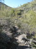 photo thumbnail #10