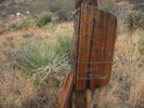 photo thumbnail #5
