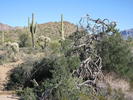 photo thumbnail #2