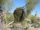 photo thumbnail #6