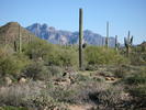 photo thumbnail #9