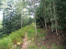 photo thumbnail #8
