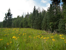 photo thumbnail #9