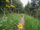 photo thumbnail #12