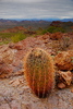 photo thumbnail #2