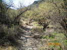 photo thumbnail #7