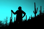 photo thumbnail #7