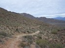photo thumbnail #8