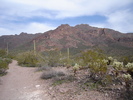 photo thumbnail #2