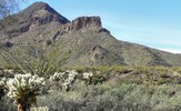 photo thumbnail #7