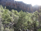 photo thumbnail #8
