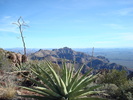 photo thumbnail #3