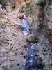 photo thumbnail #8
