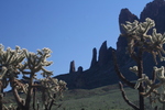 photo thumbnail #14