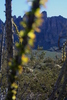 photo thumbnail #15