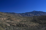 photo thumbnail #10