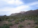 photo thumbnail #3