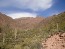 photo thumbnail #5