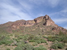 photo thumbnail #7