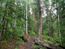photo thumbnail #3