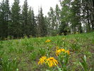 photo thumbnail #8