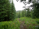 photo thumbnail #10