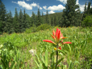 photo thumbnail #13