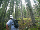 photo thumbnail #15