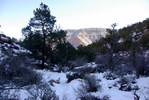 photo thumbnail #12