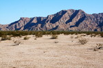 photo thumbnail #7