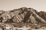 photo thumbnail #8