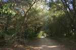 photo thumbnail #8