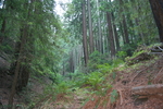 photo thumbnail #13