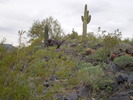 photo thumbnail #5