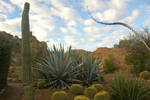 photo thumbnail #1