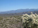 photo thumbnail #11