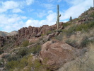 photo thumbnail #7