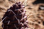 photo thumbnail #10