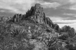 photo thumbnail #13