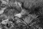 photo of comment