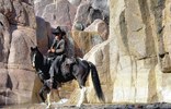 photo thumbnail #13