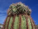 photo thumbnail #1