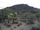 photo thumbnail #1