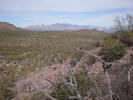 photo thumbnail #7