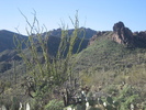 photo thumbnail #3
