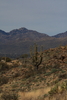 photo thumbnail #11