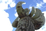 photo thumbnail #4