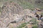 photo thumbnail #5